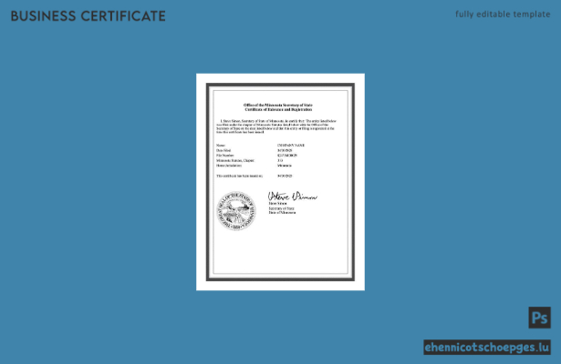 USA Minnesota Existenz- und Registrierungsbescheinigung Word- und PDF-Beispielvorschau